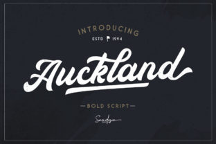 Auckland Script: A Bold Statement in Modern Typography